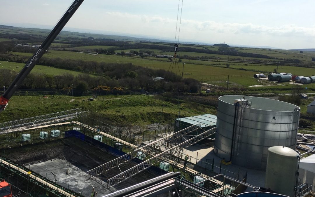 Davidstow – Dairy Crest