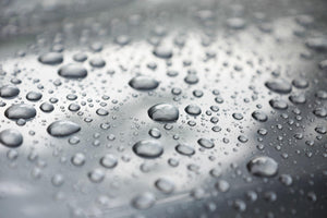 Surviving Storms: How Do Storms Affect Scaffold Structures?